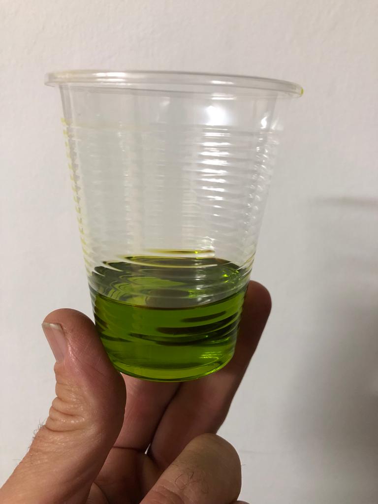 Sinfonia Mediterranea: L'Armonia dell'Olio Extravergine d'Oliva nel Cuore della Natura